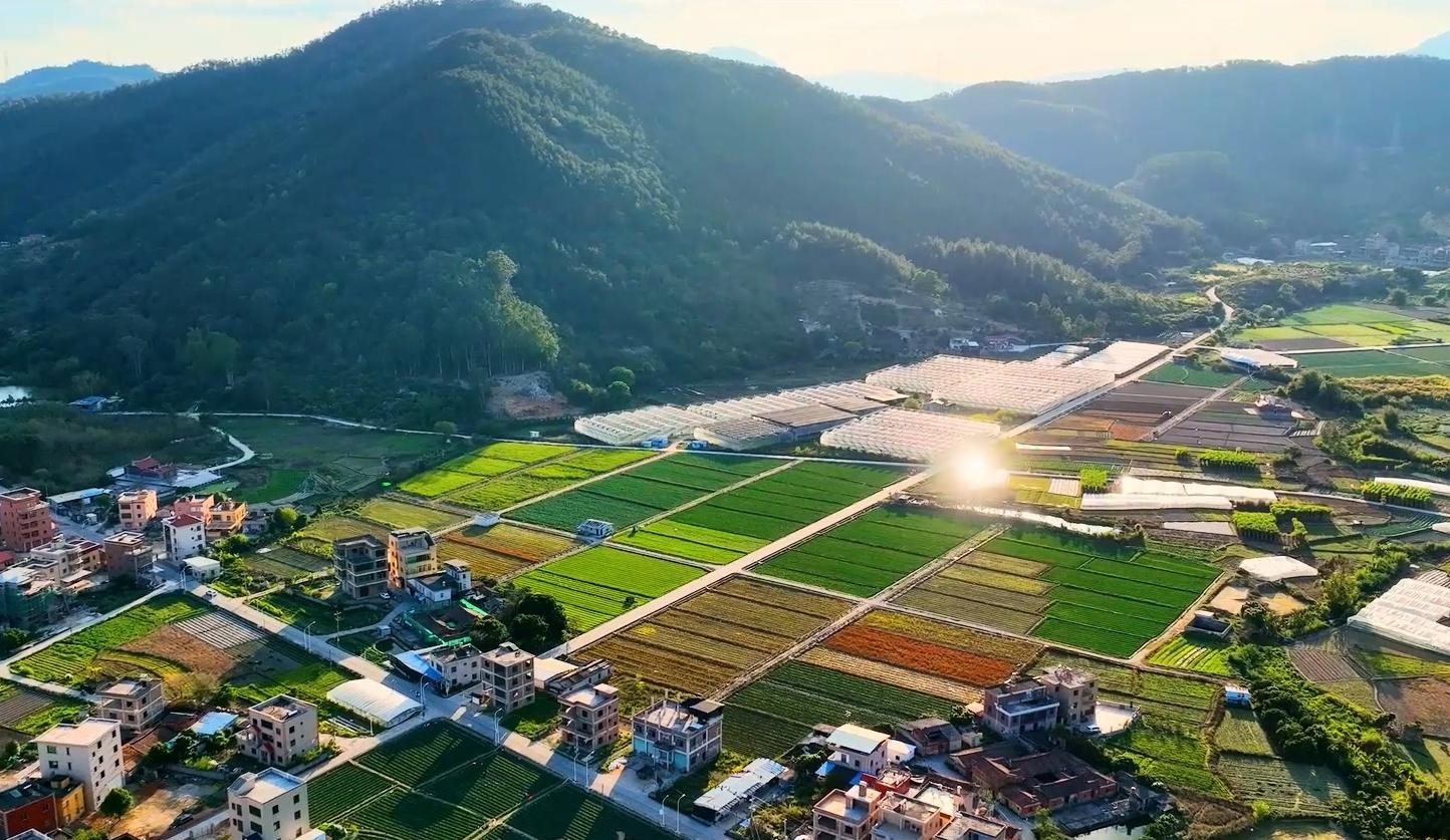 我的故乡田园篇.mp4_20250807_175907.344.jpg